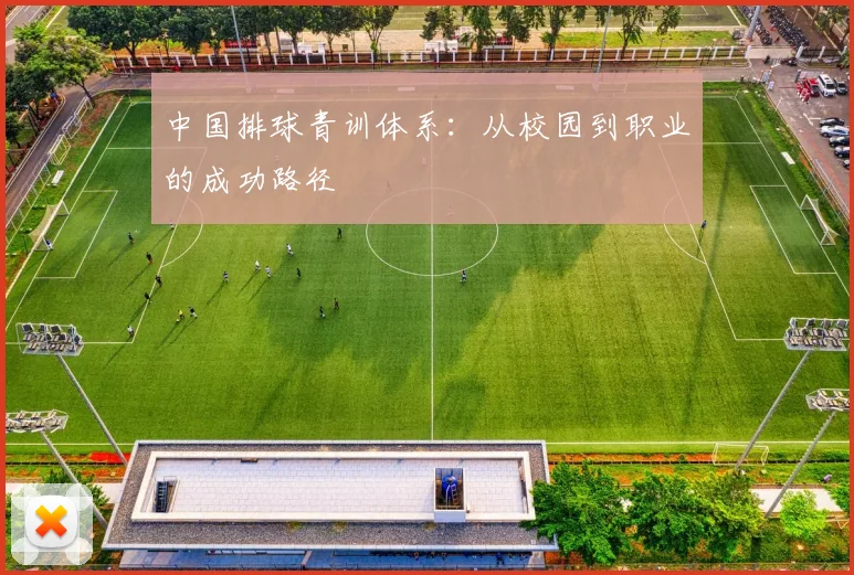 中国排球青训体系：从校园到职业的成功路径