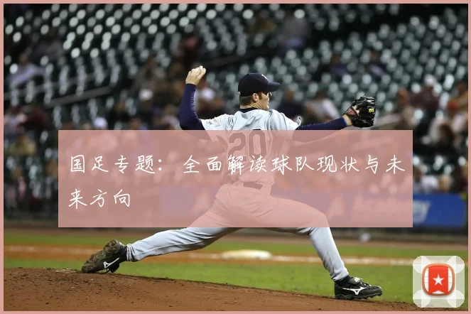 国足专题：全面解读球队现状与未来方向